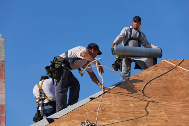 Best Roof Gutter Cleaning  in Mcfarland, CA